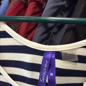 Seraphine Classic Navy and White Striped Nursing Dress